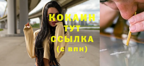 прущий лед Инта
