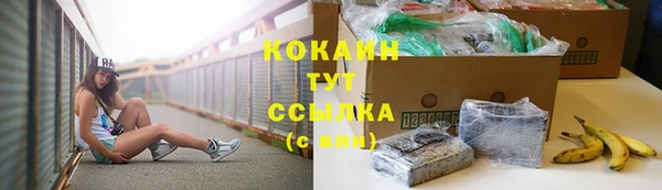 прущий лед Инта