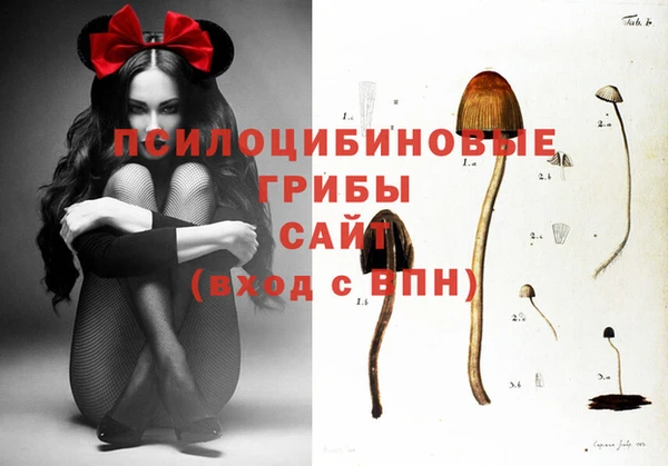 jwh Инсар