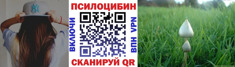 Купить где  Заречный  Галлюциногенные грибы Cubensis 